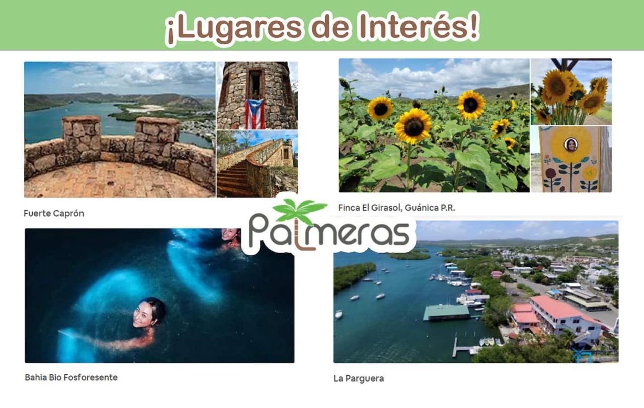 Palmeras Beach Apartments - Playa Santa 구아니카 외부 사진